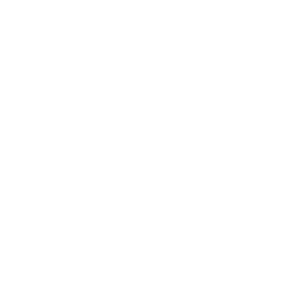 the best of dr logo
