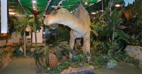 MUSEO INFANTIL TRAMPOLÍN