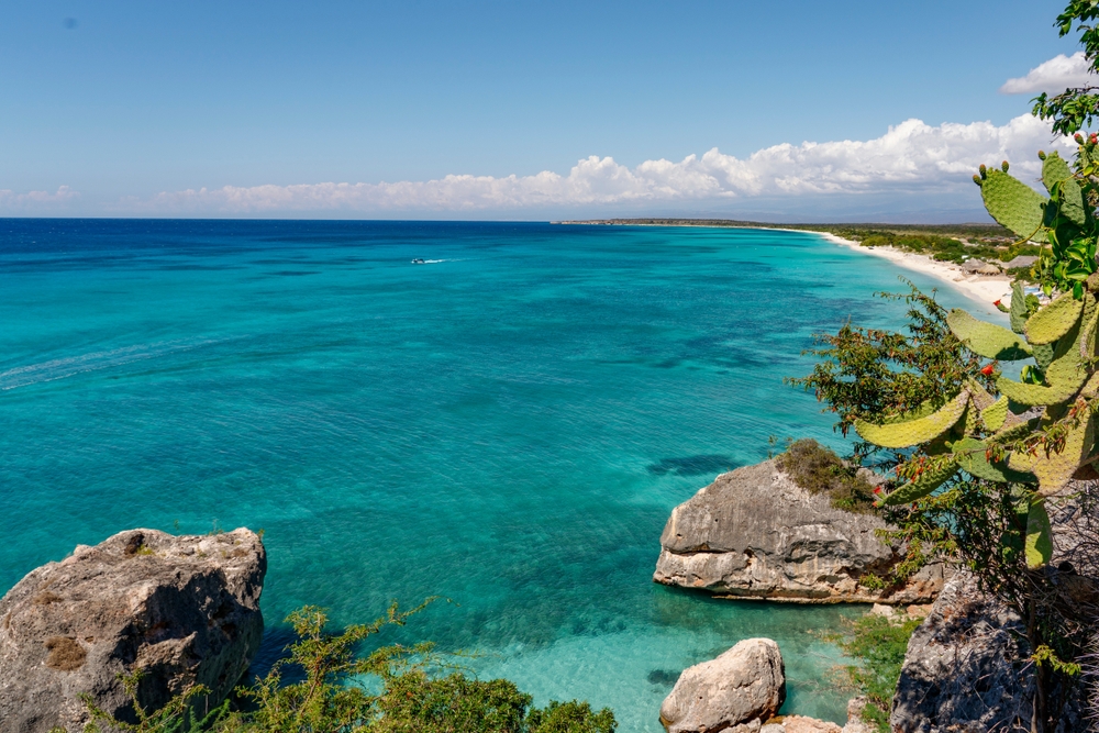 bahia de las aguilas