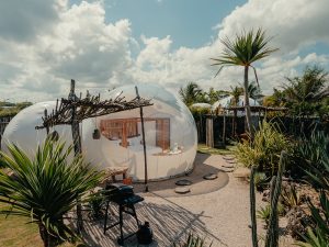 Eco Lodge: Green Land Bubble Glamping