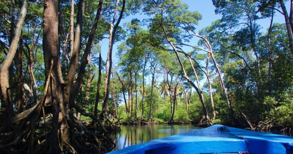 Los highlights de Río San Juan: Playa Caletón & Co.