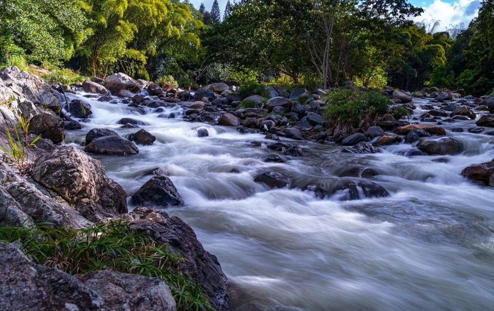 Qué hacer en Jarabacoa: El top destino de montaña en República Dominicana