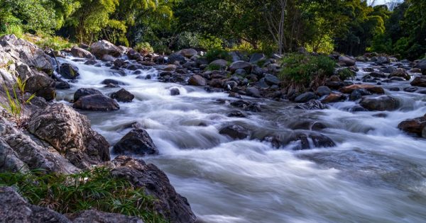 Qué hacer en Jarabacoa: El top destino de montaña en República Dominicana