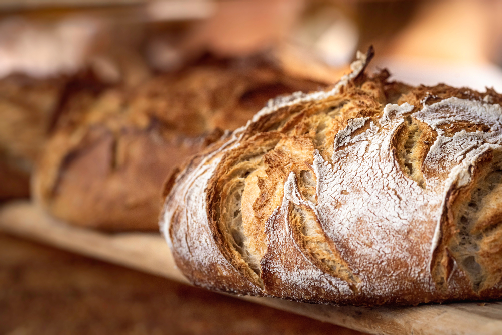 sourdough en república dominicana