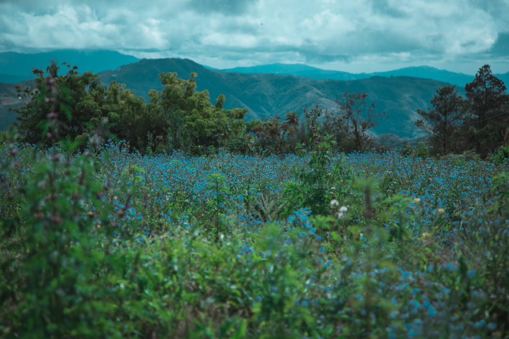 Visita Valle Nuevo