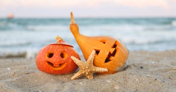 Empieza el otoño en República Dominicana: Actividades y destinos para la temporada