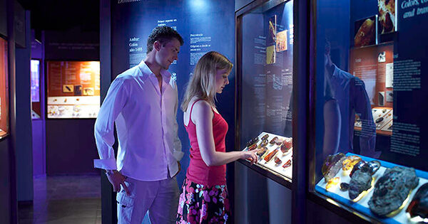 MUSEO DEL ÁMBAR